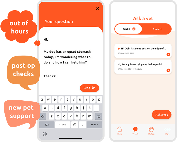 VidiVet-App-_-Question-Dog-&-speech-bubbles